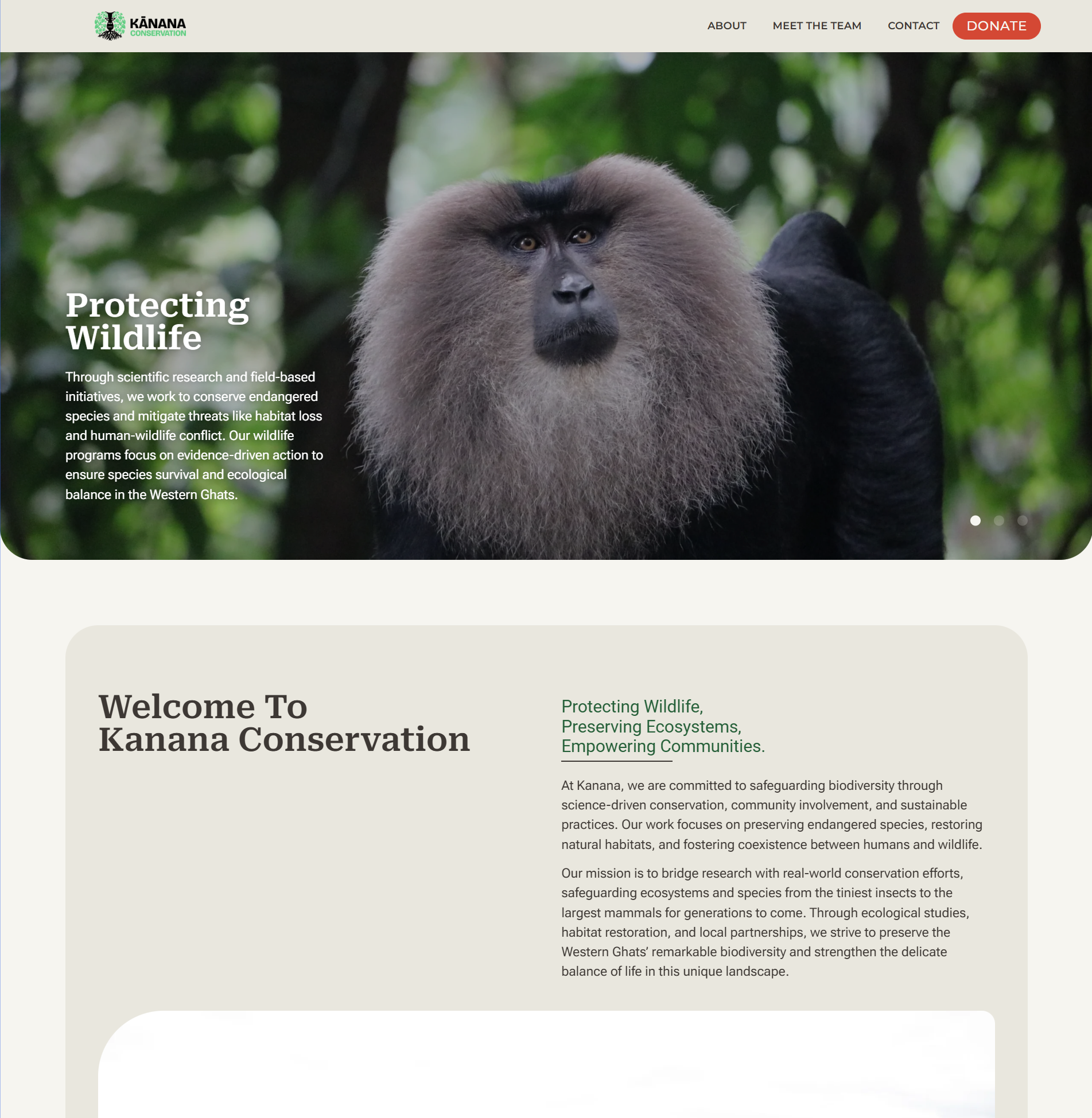 Website Project 3